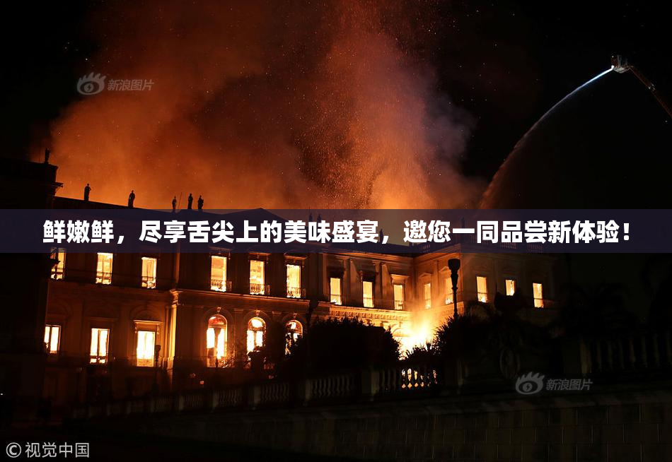 鲜嫩鲜，尽享舌尖上的美味盛宴，邀您一同品尝新体验！