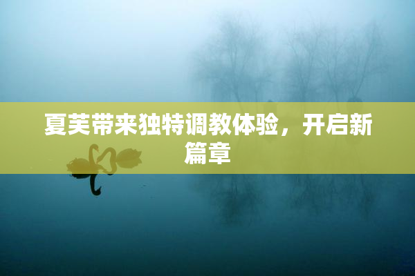 夏芙带来独特调教体验，开启新篇章