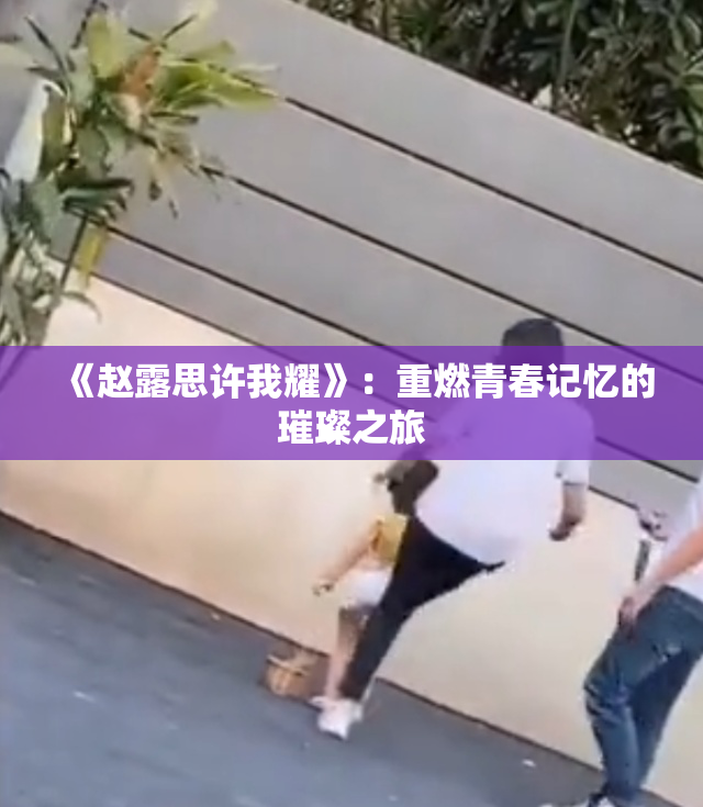 《赵露思许我耀》：重燃青春记忆的璀璨之旅