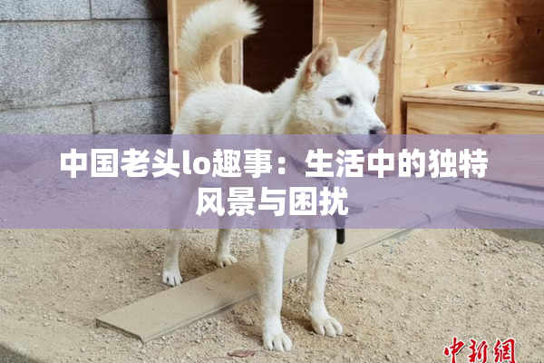 中国老头lo趣事：生活中的独特风景与困扰