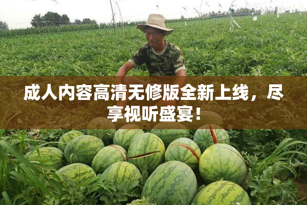 成人内容高清无修版全新上线，尽享视听盛宴！