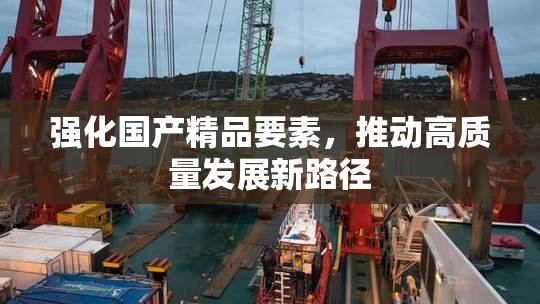 强化国产精品要素，推动高质量发展新路径