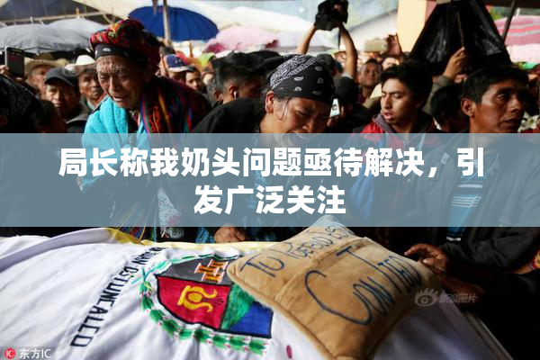 局长称我奶头问题亟待解决，引发广泛关注
