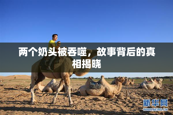 两个奶头被吞噬，故事背后的真相揭晓