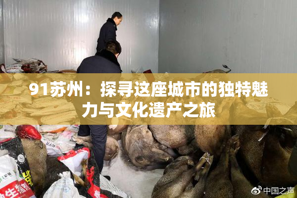 91苏州：探寻这座城市的独特魅力与文化遗产之旅