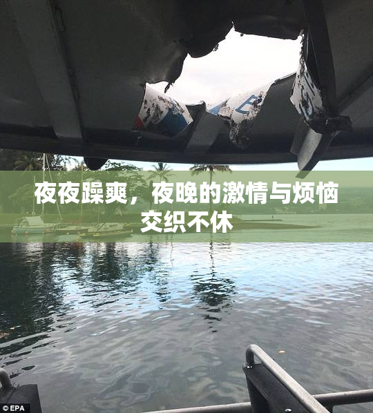 夜夜躁爽，夜晚的激情与烦恼交织不休