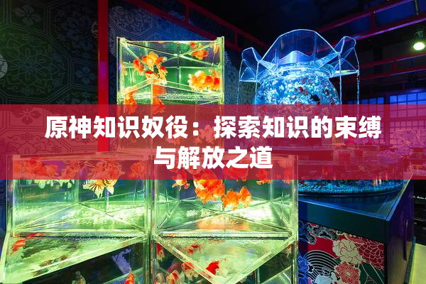 原神知识奴役：探索知识的束缚与解放之道
