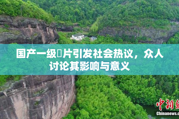 国产一级婬片引发社会热议，众人讨论其影响与意义