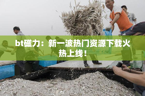 bt磁力：新一波热门资源下载火热上线！