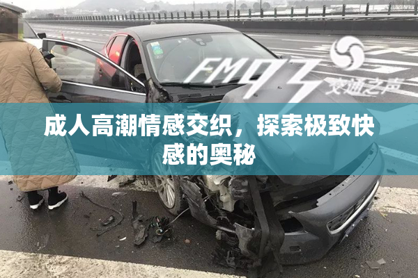 成人高潮情感交织，探索极致快感的奥秘