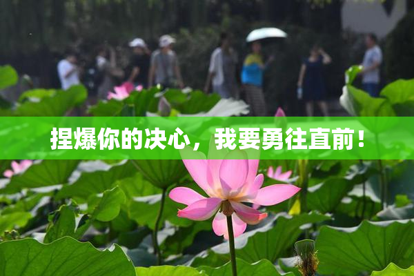 捏爆你的决心，我要勇往直前！