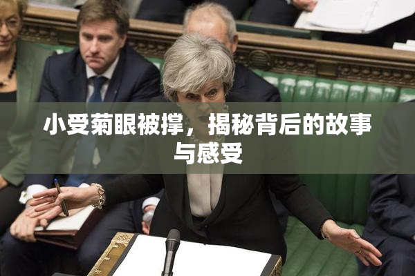 小受菊眼被撑，揭秘背后的故事与感受