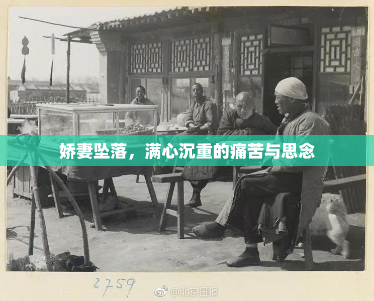 娇妻坠落，满心沉重的痛苦与思念