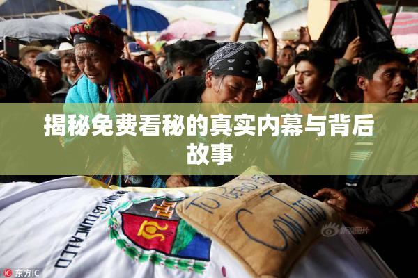 揭秘免费看秘的真实内幕与背后故事