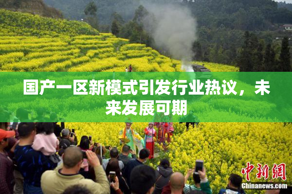 国产一区新模式引发行业热议，未来发展可期
