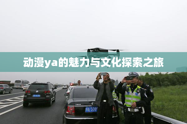 动漫ya的魅力与文化探索之旅