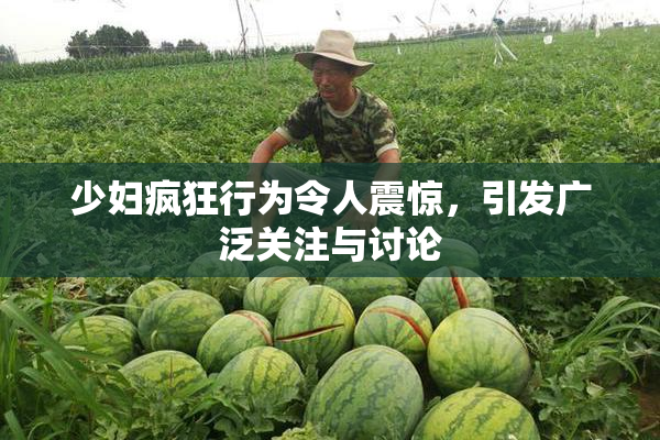 少妇疯狂行为令人震惊，引发广泛关注与讨论