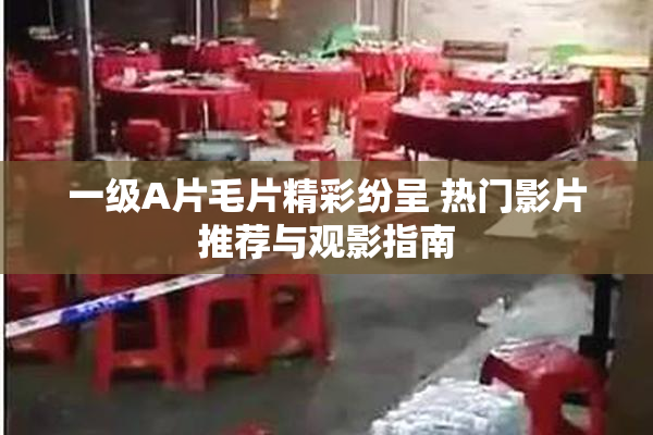 一级A片毛片精彩纷呈 热门影片推荐与观影指南