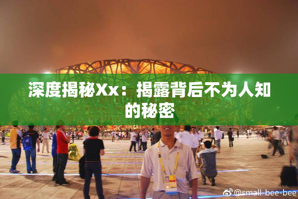 深度揭秘Xx：揭露背后不为人知的秘密
