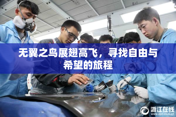 无翼之鸟展翅高飞，寻找自由与希望的旅程
