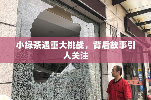 小绿茶遇重大挑战，背后故事引人关注