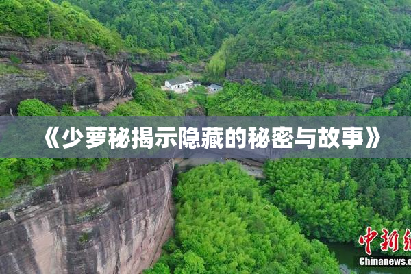 《少萝秘揭示隐藏的秘密与故事》