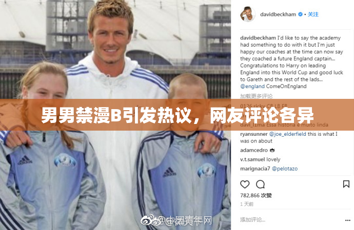 男男禁漫B引发热议，网友评论各异