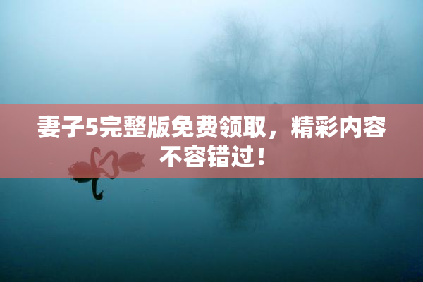 妻子5完整版免费领取，精彩内容不容错过！