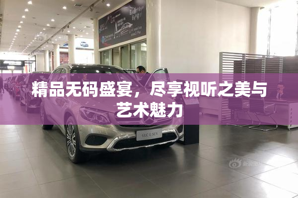 精品无码盛宴，尽享视听之美与艺术魅力