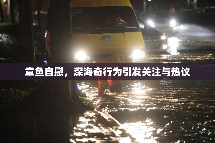 章鱼自慰，深海奇行为引发关注与热议
