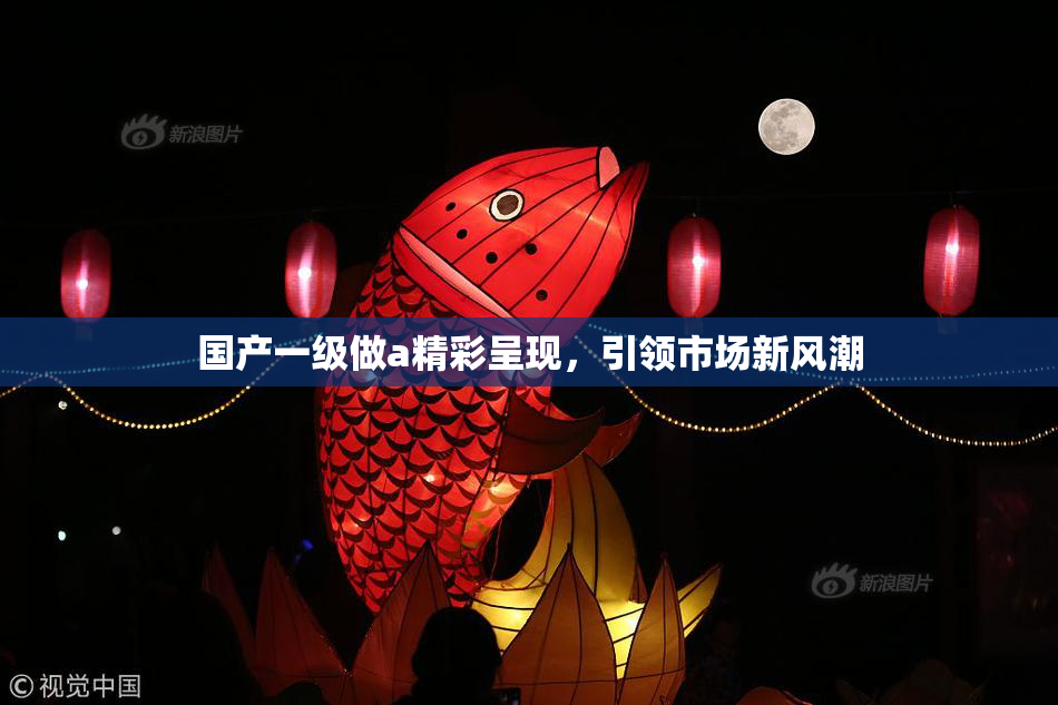 国产一级做a精彩呈现，引领市场新风潮