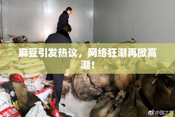 麻豆引发热议，网络狂潮再掀高潮！