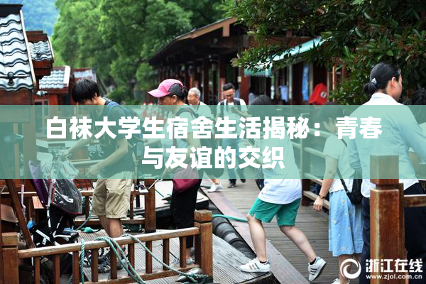 白袜大学生宿舍生活揭秘：青春与友谊的交织