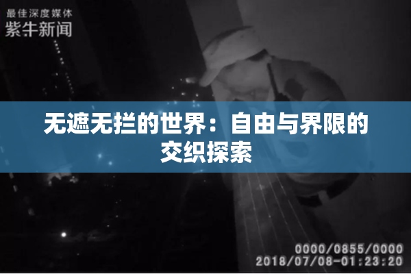 无遮无拦的世界：自由与界限的交织探索