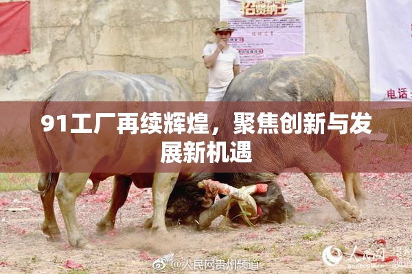 91工厂再续辉煌，聚焦创新与发展新机遇