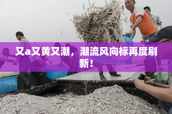 又a又黄又潮，潮流风向标再度刷新！