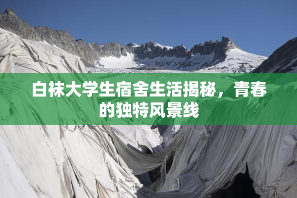 白袜大学生宿舍生活揭秘，青春的独特风景线