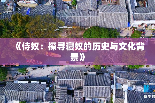 《侍奴：探寻寝奴的历史与文化背景》