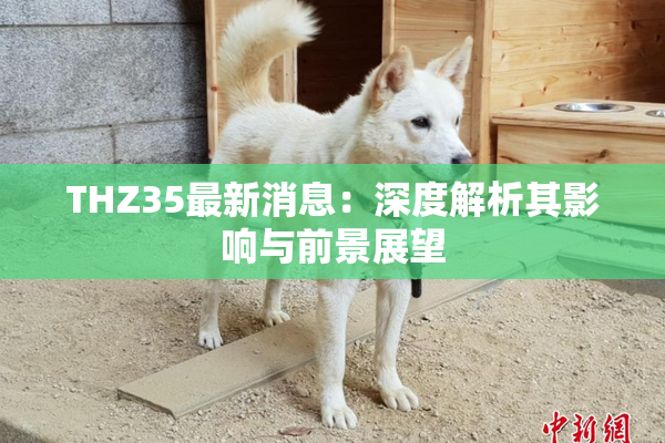 THZ35最新消息：深度解析其影响与前景展望