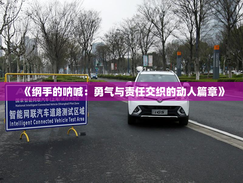 《纲手的呐喊：勇气与责任交织的动人篇章》