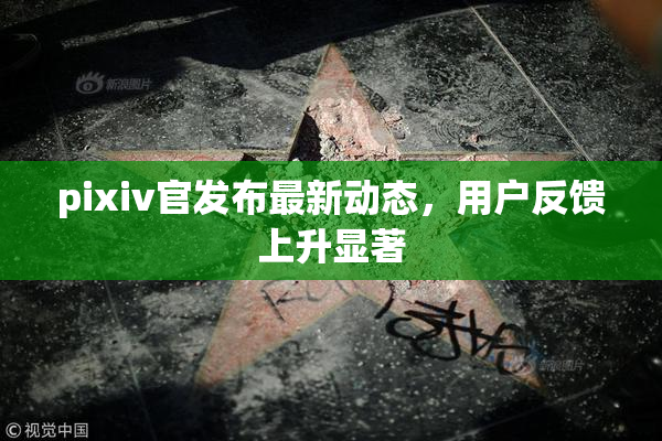 pixiv官发布最新动态，用户反馈上升显著