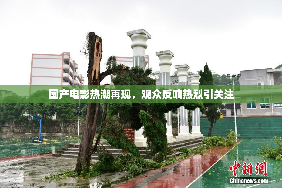 国产电影热潮再现，观众反响热烈引关注