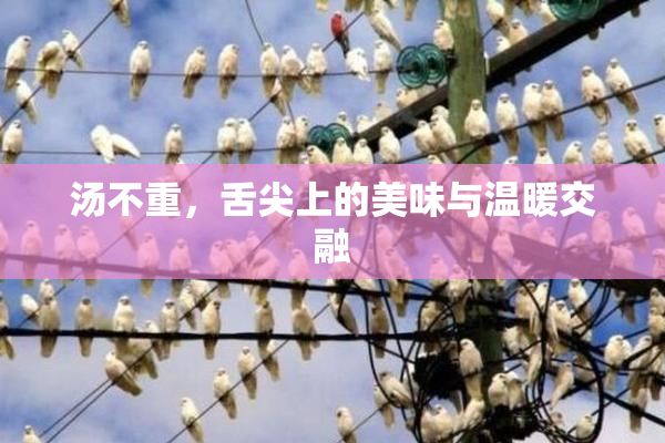 汤不重，舌尖上的美味与温暖交融