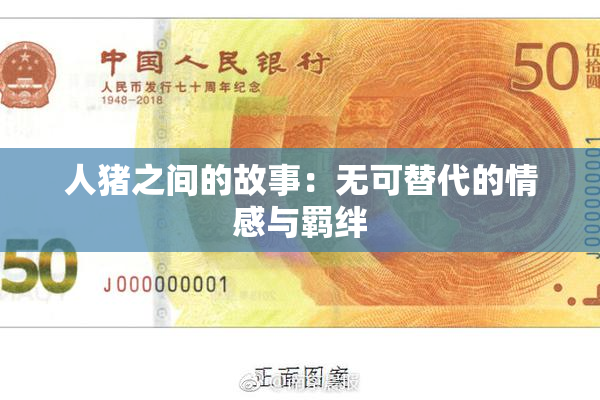 人猪之间的故事：无可替代的情感与羁绊