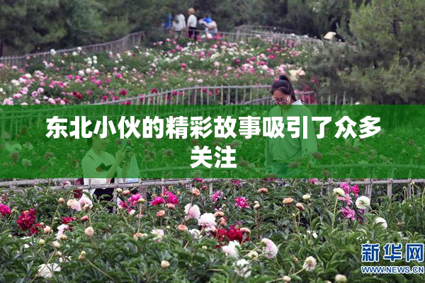 东北小伙的精彩故事吸引了众多关注