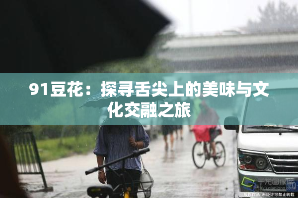 91豆花：探寻舌尖上的美味与文化交融之旅