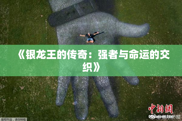 《银龙王的传奇：强者与命运的交织》