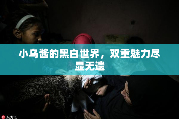小乌酱的黑白世界，双重魅力尽显无遗