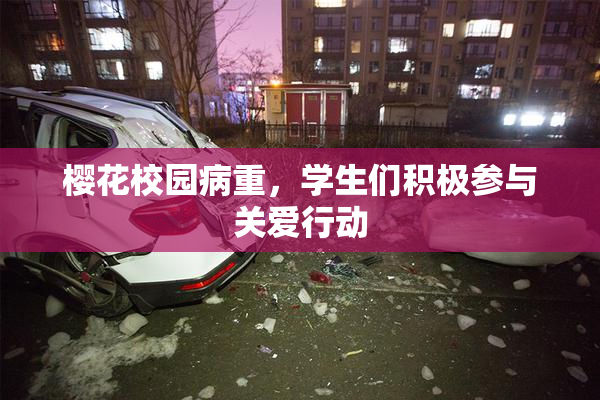 樱花校园病重，学生们积极参与关爱行动