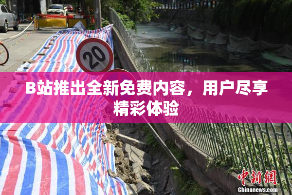 B站推出全新免费内容，用户尽享精彩体验